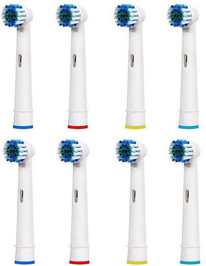 Cenocco Ανταλλακτικά για Oral-Β CC-9029 8τμχ