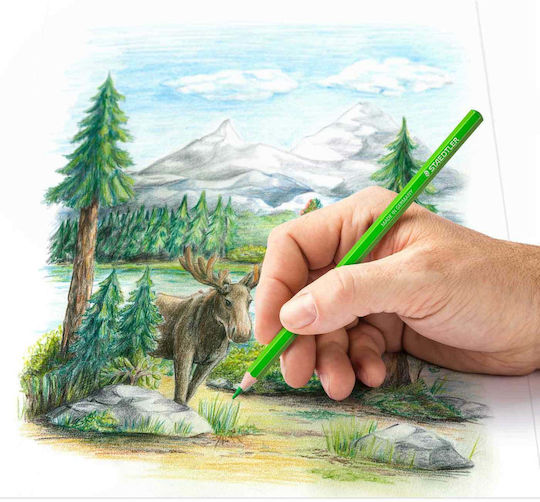 Staedtler Colored Pencil Set Package of 1 packages
