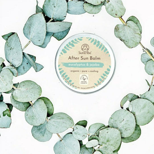 Suntribe After Sun Balm After Sun Cream with Jojoba 100ml