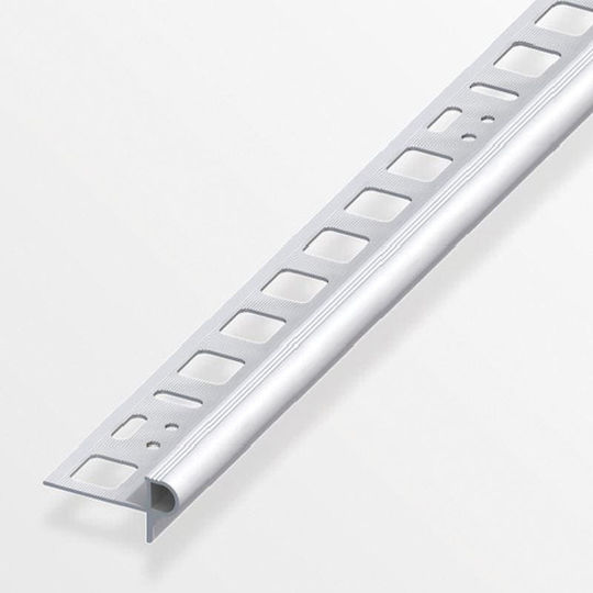 Alfer Aluminium Profil de Trepte din Aluminiu Argintiu 250x2.45x1 cm