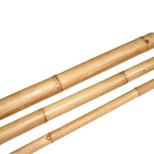 Atmosphera Bamboo Fence Pole for Garden Fencing from Bamboo 210x8x8 cm