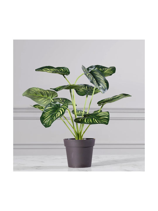 Supergreens Artificial Plant in Small Pot Orntaa Καλαθέα Green 40cm 1pcs