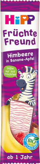 Hipp Bar Children's Bar with Flavor Apple-Banana-Blueberry Sugar Free 23gr for 12+ months