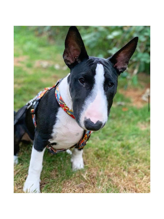 Max & Molly Dog Harness Heroes Large 25mm x 71-98cm MM0250
