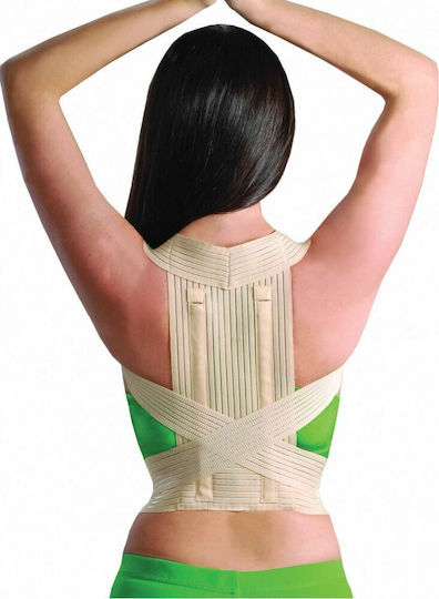 Ortholand MED/1111 with Banellas Back Splint Beige