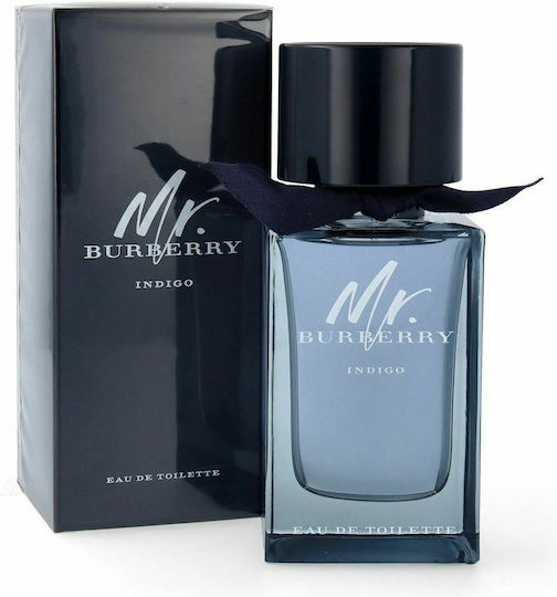 Burberry Mr. Burberry Indigo Eau de Toilette 100ml