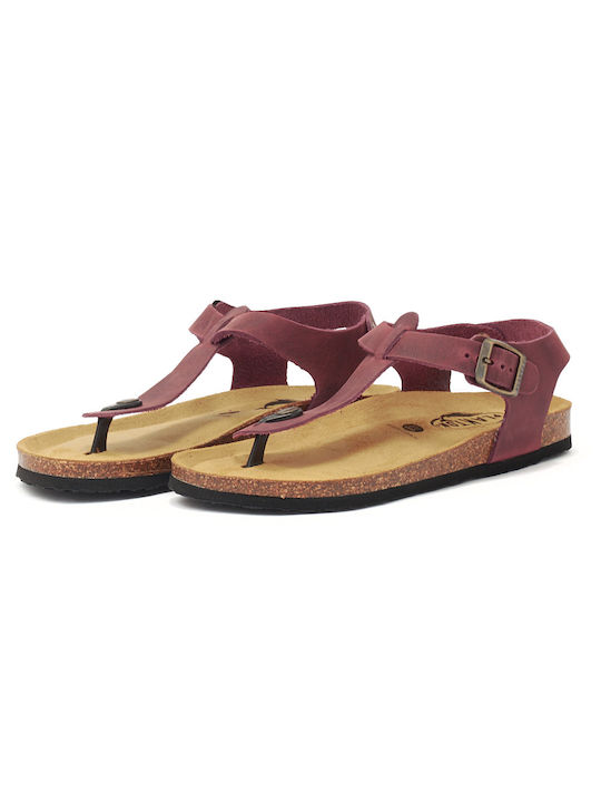 Plakton Leather Women's Flat Sandals with Strap Burdeos