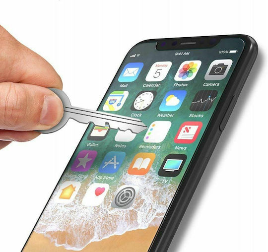 Hofi Rückseitenfolie Tempered Glass für iPhone XR Transparent