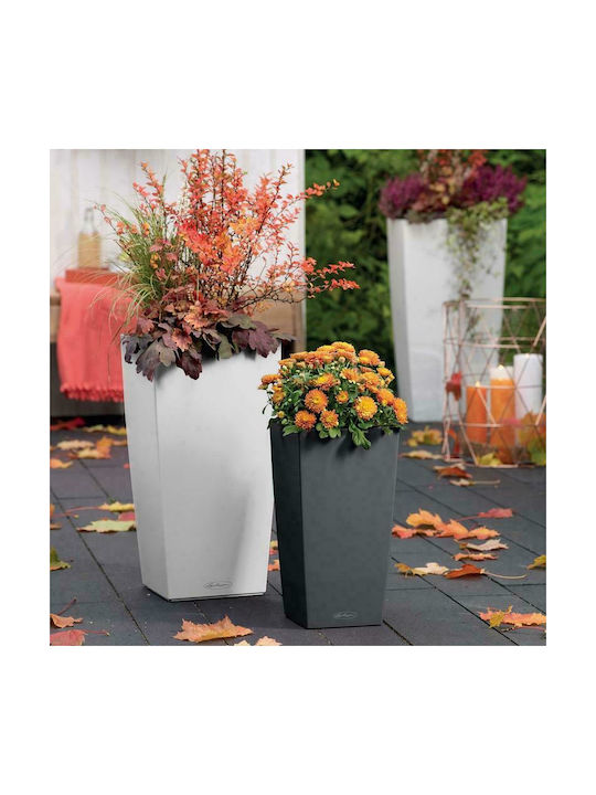 Lechuza Cubico Self-watering Pot Plastic 30x30x56cm.
