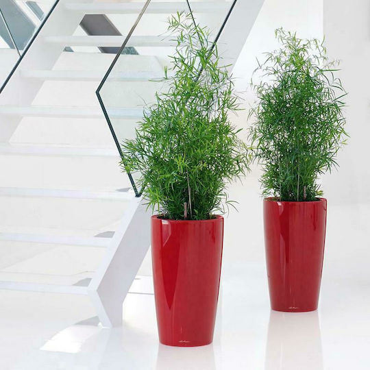 Lechuza Rondo Self-watering Plastic Flower Pot Red 32.5x32.5x56.5cm