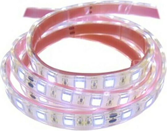 Αδιάβροχη Ταινία LED 24V Ψυχρό Λευκό Φως 1m Τύπου SMD5050