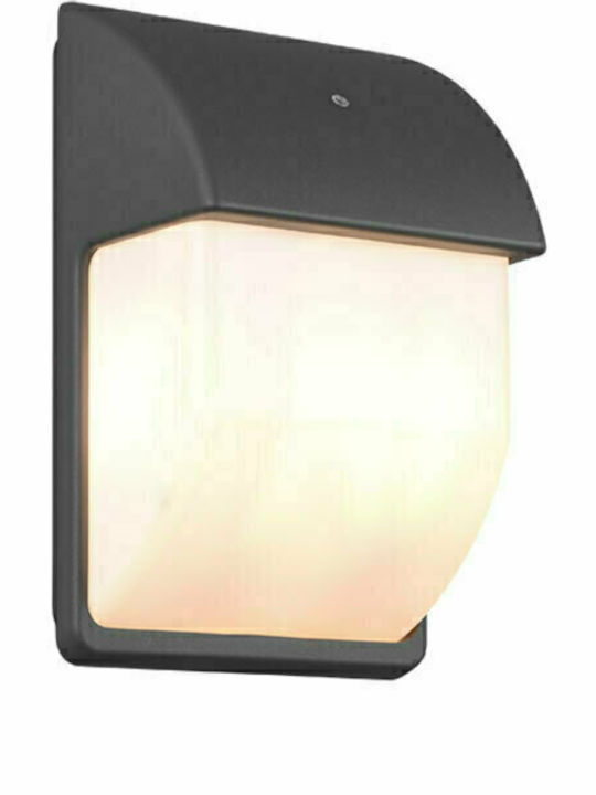 Trio Lighting Tunga Πλαφονιέρα 18x27.5εκ.