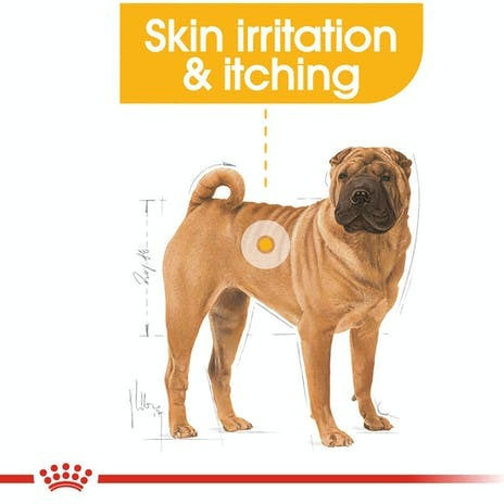 Royal Canin Dermacomfort Medium 12kg Dry Food Gluten-Free for Adult Medium Breed Dogs with Rice