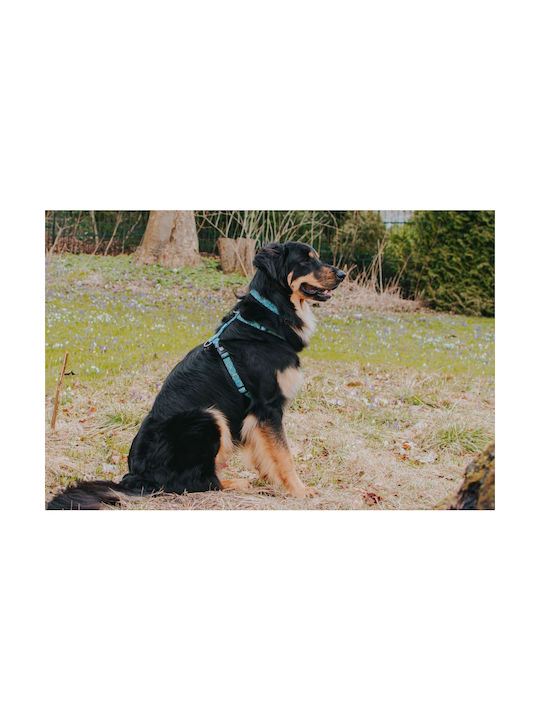 Max & Molly Ham pentru câini Retro Albastru Mediu 20mm x 53-69cm ΜΜ01157