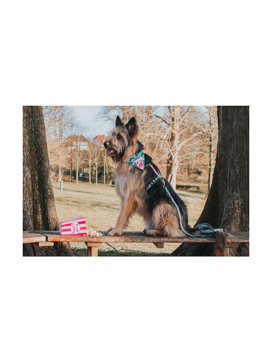Max & Molly Нагръдник за куче Popcorn Large 25мм x 70-98см MM01175