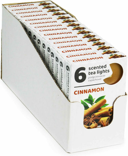 Viosarp Tealights with Scent Cinnamon in Brown Color 6pcs