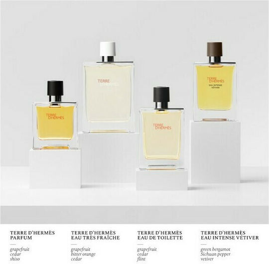 Hermes Terre D' hermes Eau Intense Vetiver Eau de Parfum 200ml