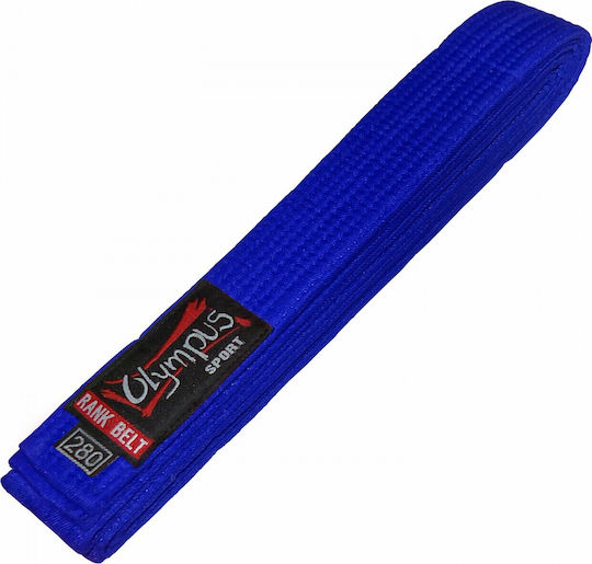 Olympus Sport Martial Arts Belt Orange
