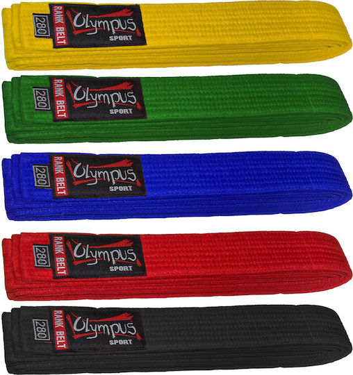 Olympus Sport Martial Arts Belt Orange