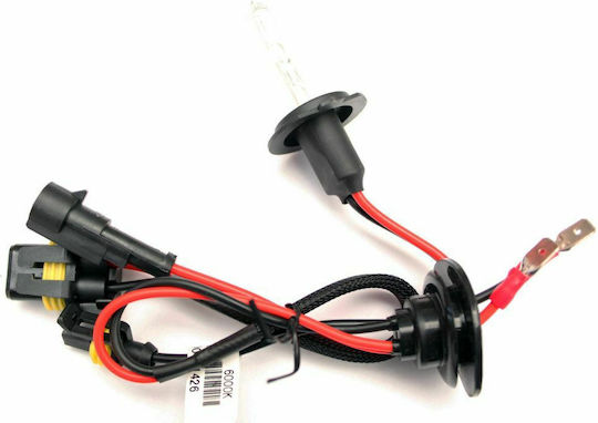 M-Tech Λάμπα Αυτοκινήτου & Μοτοσυκλέτας HID Xenon 5000k H7 Xenon 5000K Φυσικό Λευκό 12-24V 35W 1τμχ