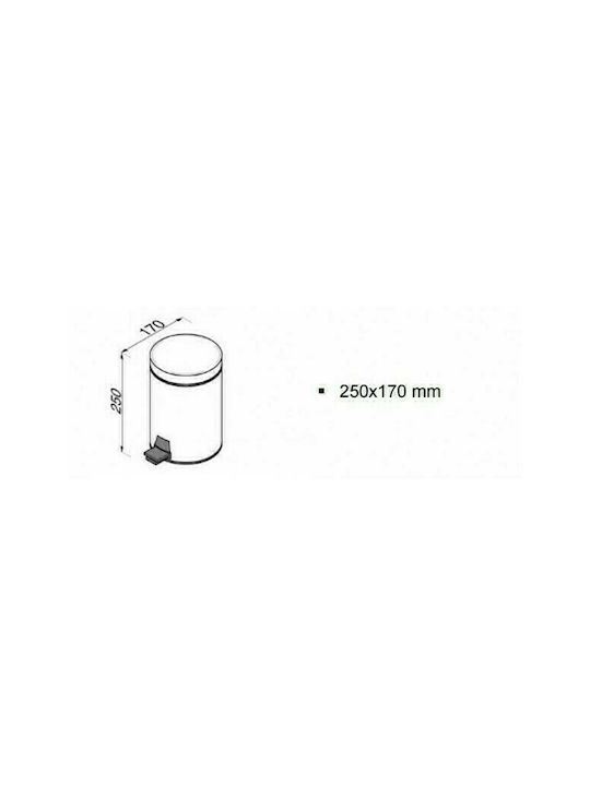 Geesa Standard 625 Inox Perie de toaletă 3lt Argintiu