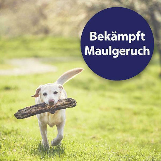 Canosept Zahnpflege Ring Hund 50Stück