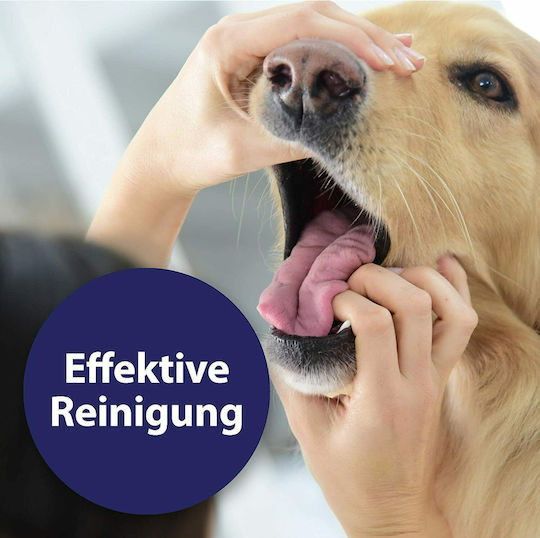Canosept Zahnpflege Ring Hund 50Stück