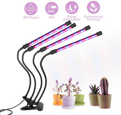 Led7 Grow Light