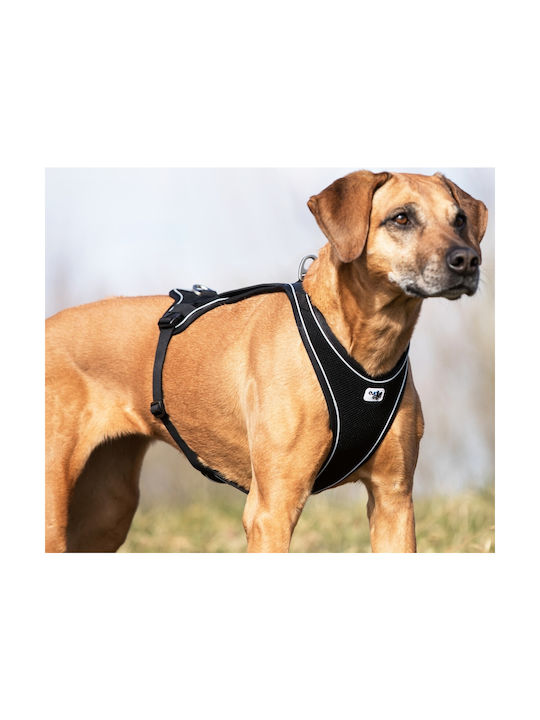 Curli Dog Harness Vest Belka Comfort Harness Black Medium 48mm x 66-70cm