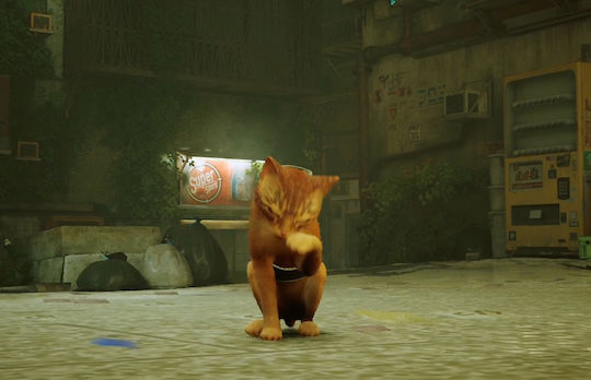 Stray Joc PS5 (Cheie)
