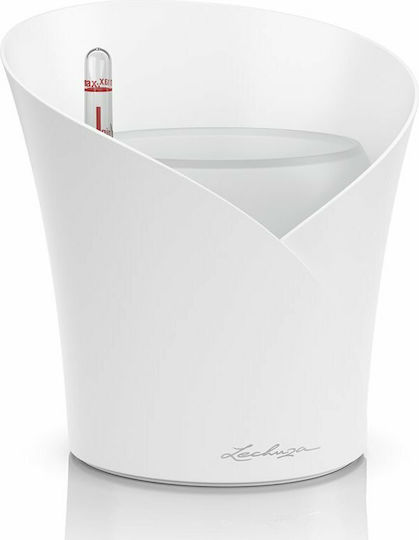 Lechuza Orchidea Self-watering Pot Plastic 18x18x20cm.