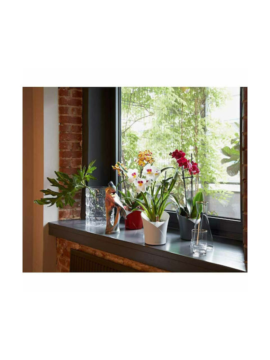 Lechuza Orchidea Self-watering Pot Plastic 18x18x20cm.