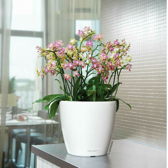 Lechuza Classico Premium Self-watering Pot Plastic 28x28x26cm.