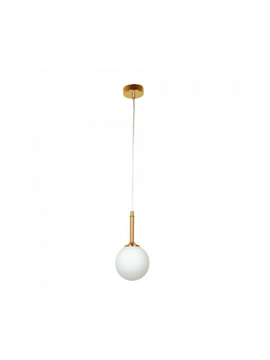 Inlight Pendant Light Suspension for Socket G9 Gold