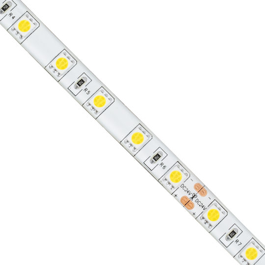 GloboStar Waterproof LED Strip 24V Natural White Light 5m Type SMD5050 with Remote Control