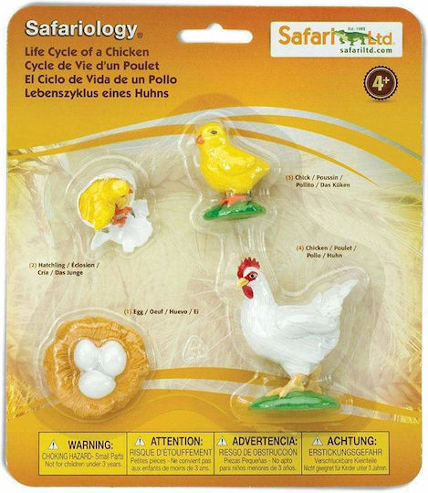 Safari Ltd Life Cycle of a Chicken STEM Образователна Игра Образователни за 4+ години Години