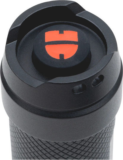 Wurth Flashlight LED IP54 with Maximum Brightness 300lm WTX4