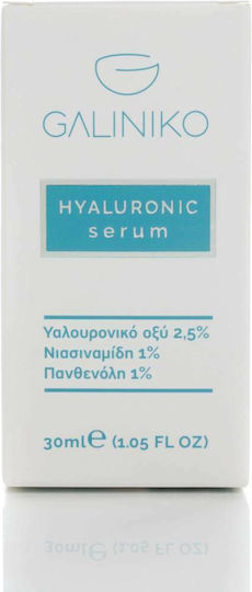 Galiniko Hyaluronic 2,5% Αντιγηραντικό Serum Προσώπου με Νιασιναμίδη & Υαλουρονικό Οξύ 30ml