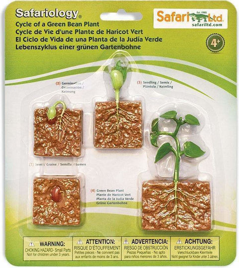 Safari Ltd Life Cycle of A Green Bean Plant STEM Εκπαιδευτικό Παιχνίδι Γνώσεων για 4+ Ετών