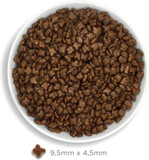 Amanova Kitten Dry Food Gluten-Free, with Few Grains for Young Cats with Chicken 4kg