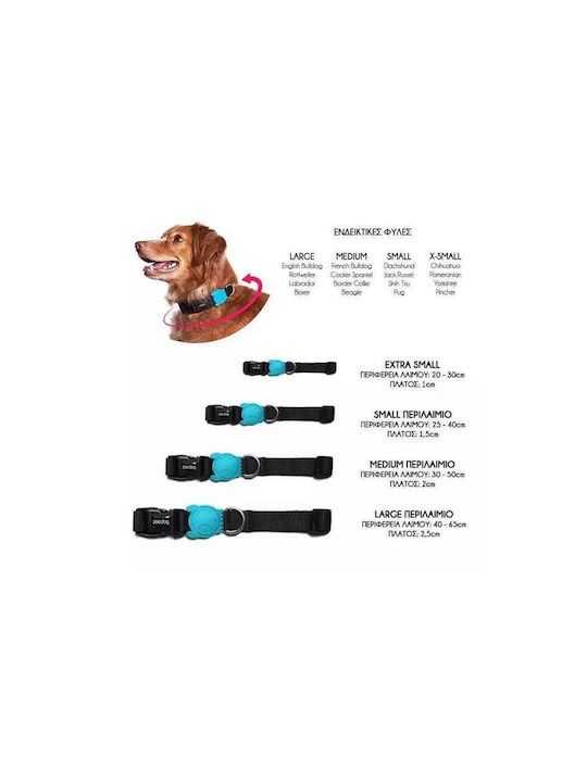Zee-Dog Honey Hundehalsband Mittel 20mm x 37 - 53cm