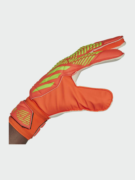 adidas Predator Edge Γάντια Τερματοφύλακα Ενηλίκων Πορτοκαλί