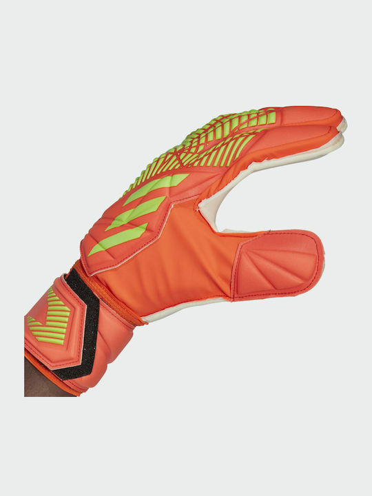 adidas Predator Edge Match Adults Goalkeeper Gloves Red