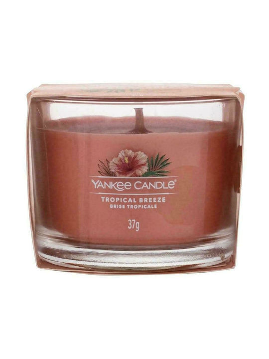 Yankee Candle Αρωματικό Κερί Tropical Breeze σε Βάζο 37gr