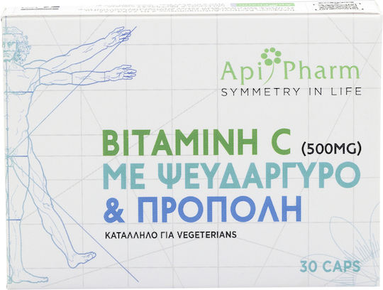 Apipharm Βιταμίνη C με Ψευδάργυρο & Πρόπολη Πολυβιταμίνη για Ενέργεια & Ενίσχυση του Ανοσοποιητικού 500mg 30 κάψουλες