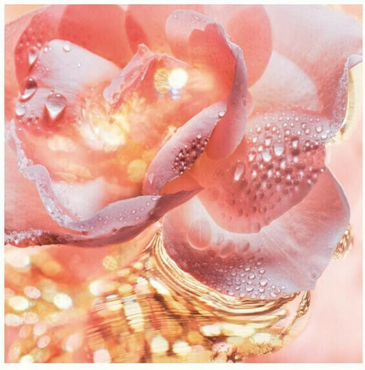 Bvlgari Rose Goldea Eau de Parfum 50ml