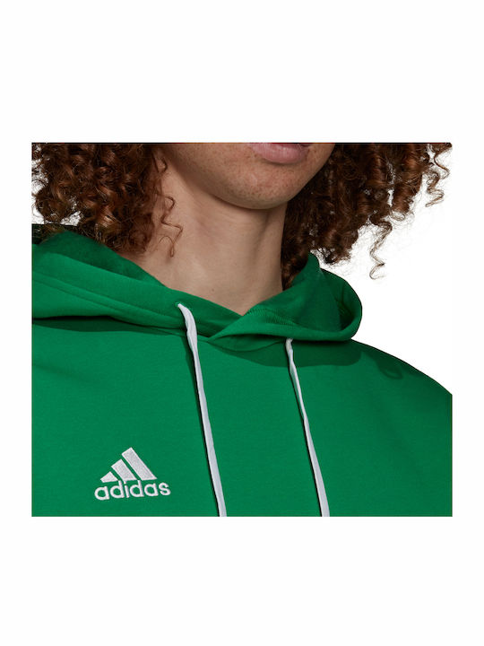 Entrada 22 Sweatshirt with Hood Green