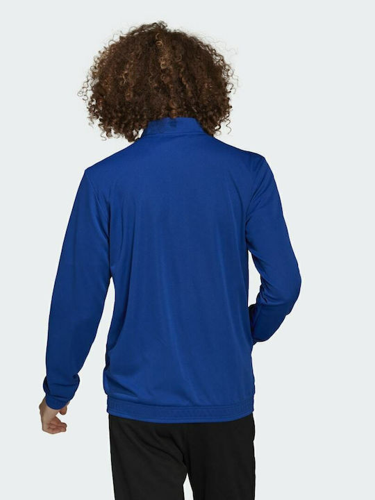 adidas adidas