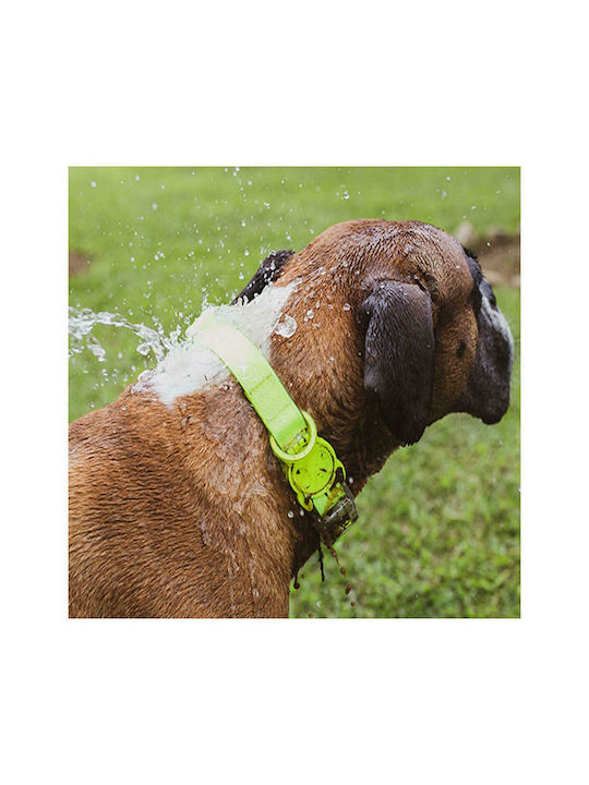Zee-Dog NeoPro Hundehalsband in Gelber Farbe Groß