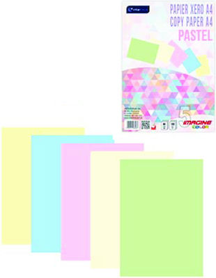 interDRUK Pastel